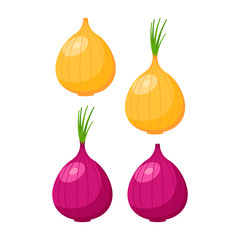 Onion icon set isolated on white background. Vector illustration.