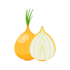Onion icon isolated on white background. Vector illustration.