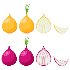 Onion icon set isolated on white background. Vector illustration.