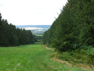 Waldschneise bei Morbach