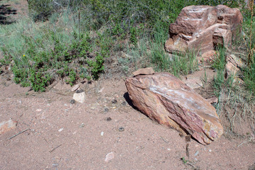 Boulders at the base of a Colorado mountain. Bokeh.
