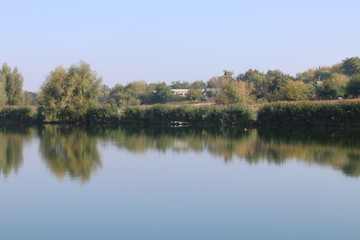 Fototapeta premium Lake Shore. Trees and reeds are reflected in the water.