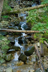 small waterfall in the forest