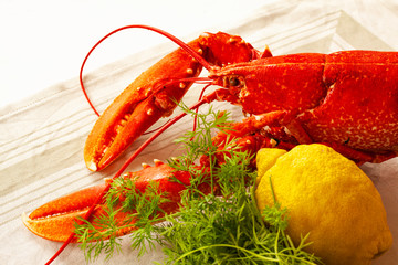 Freshly boiled red lobster lying on a table with lemon and dill. Image