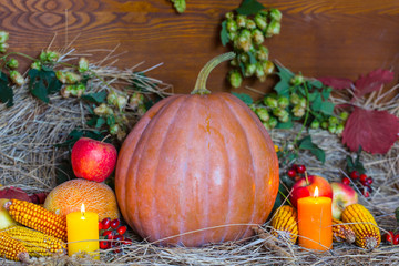 autumn harvest, still life with ripen pumpkin, apple, corn, dry grass, candle and autumn leaves