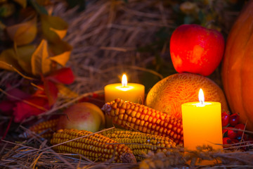 Obraz na płótnie Canvas autumn still life, closeup heap of ripen vegetables in a dry grass with burning candle, melon, apple, corn, countryside background