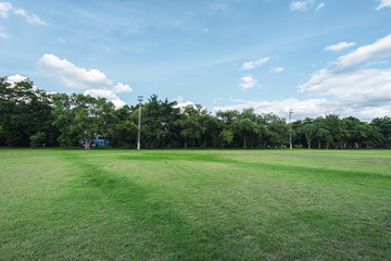 landscape of grass field and green environment public park use as natural background,backdrop