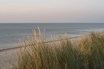 Fototapeta na wymiar Dune grass, beach and sea, in soft light at sunset