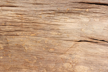 brown wood texture background