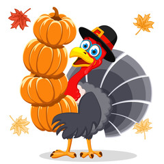 A turkey in a hat holds a pumpkin on a white. Thanksgiving Day.