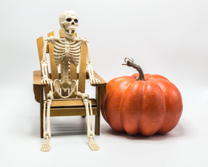 a whimsical Halloween skeleton sitting in a wooden Adirondack chair next to an orange pumpkin isolated on white