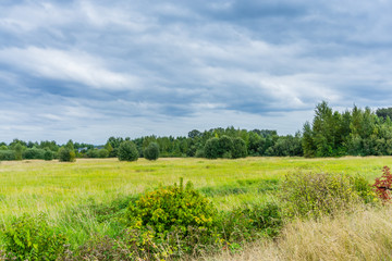 Clouds And Field Landscape 2