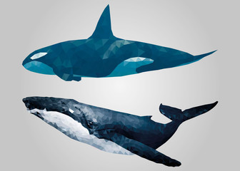 Whale swimming and looking low poly vector