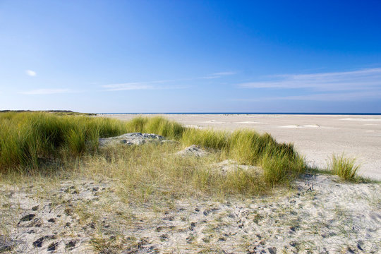the dunes, Renesse, Zeeland, the Netherlands