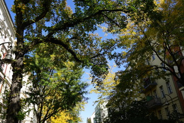 Obraz premium Herbststimmung in Berlin