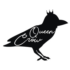 Cute crow, bird, vector illustration