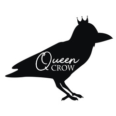 Cute crow, bird, vector illustration