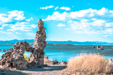 Exotic and VERY salty Mono Lake in California