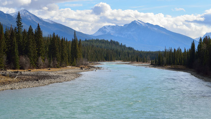 Athabasca River in the Rocky Mountain valley