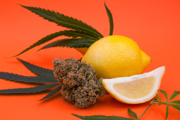 Citrique Cannabis Flower