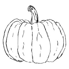 Single black and white pumpkin sketch. Doodle, simple vector, isolated object.