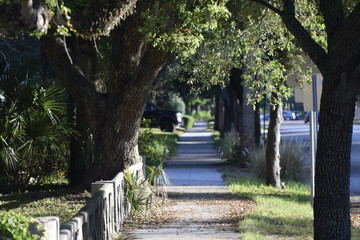 morning in the heights 3