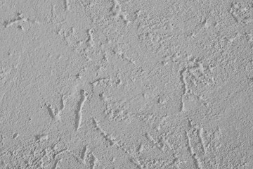 Fototapeta premium natural and healthy interior plaster for living rooms, with mortar and paint from slaked lime, following a traditional Bavarian construction method - close up