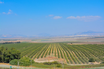 Fototapeta na wymiar The view over Jezreel Valley at Tel Megiddo. Known as The Valley of Armageddon