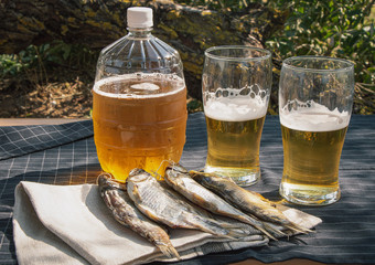 stockfish and beer on the table. Camping