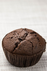 chocolate muffin on a beautiful substrate