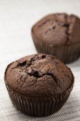 chocolate muffin on a beautiful substrate