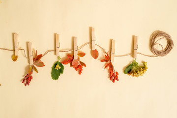 Autumn leafs in a clothes line held by clothespins over turquoise wood