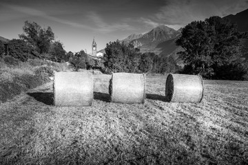 Obraz premium meadows and countryside in black and white in autumn
