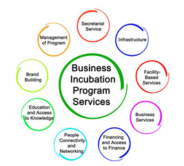 Nine Business Incubation Program Services