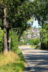 Typical landscape in the forests of Transylvania, Romania. Green landscape in the midsummer, in a sunny day