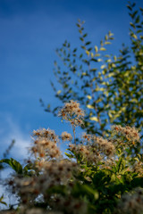 autumn landscape, mountain landscape on a sunny day