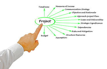 Presenting Twelve facets of Project