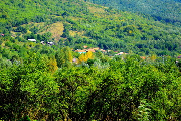Fototapeta na wymiar Typical landscape in the forests of Transylvania, Romania. Green landscape in the midsummer, in a sunny day
