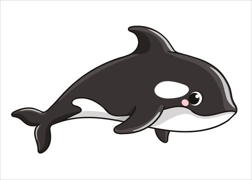 Cartoon Whale Images – Browse 53,021 Stock Photos, Vectors, and Video |  Adobe Stock