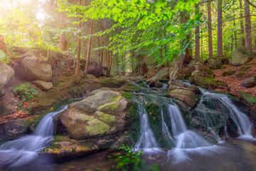 River in the forest, waterfall, Karkonosze, Poland