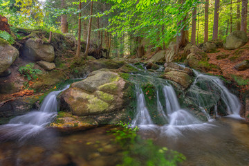 River in the forest, waterfall, Karkonosze, Poland - obrazy, fototapety, plakaty