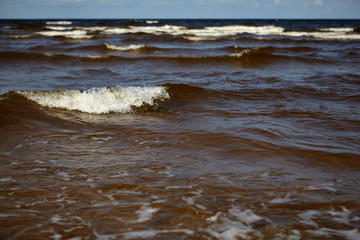 shallow water waves