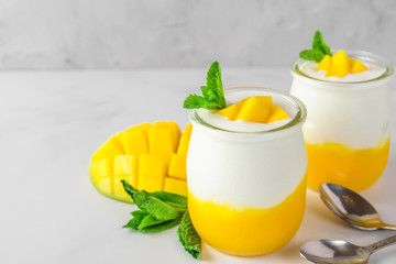 two glasses of mango yogurt with fresh fruits and mint over white concrete background. healthy breakfast