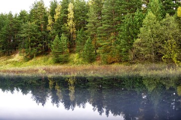 lake in forest