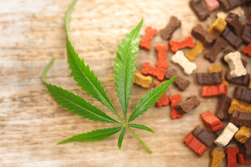 dog bones cbd . cannabis business