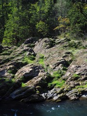 The rocky and rugged shores of the Middle Fork of the Willamette River near Oakridge Oregon filled with trees transitioning to their fall colors on a beautiful sunny day.