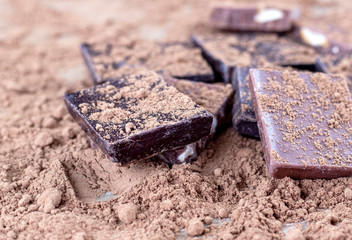 Chocolate pieces and cocoa powder.