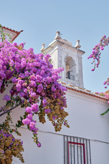 Blooming tree with purple flowers next to the church