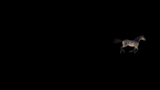 Grulla dark brown horse galloping over screen as transition, background, intro, revealer or other decoration element. 