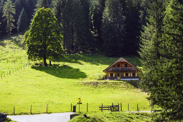 Green lawn, traditional Austrian house and forest against the backdrop of the European Alps. Bright sunshine. Gosauzen Region, Austria